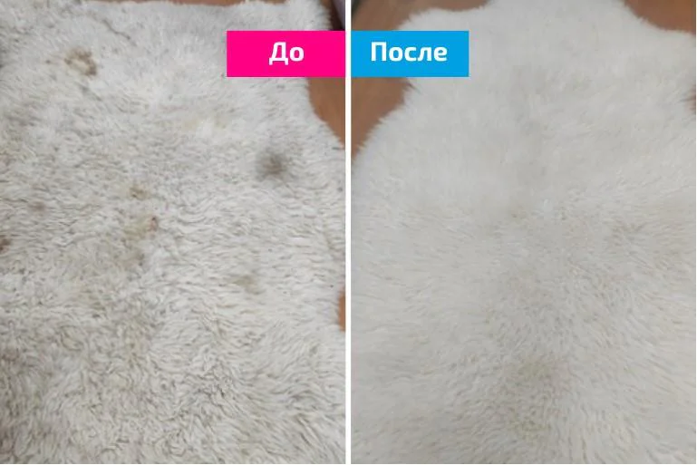 химчистка шкуры