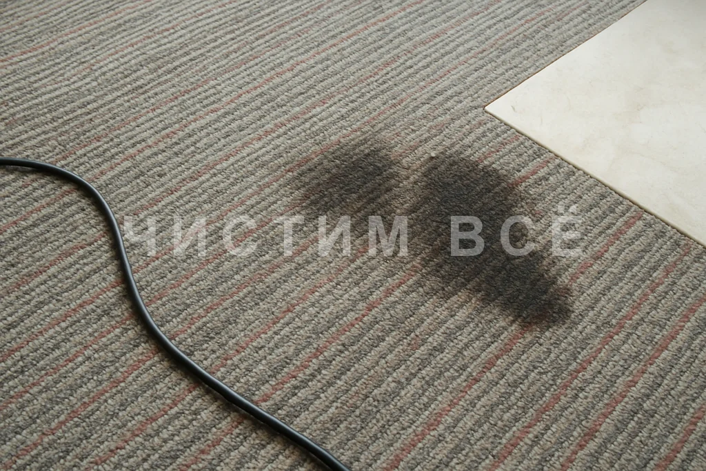 Химчистка ковролина в офисе